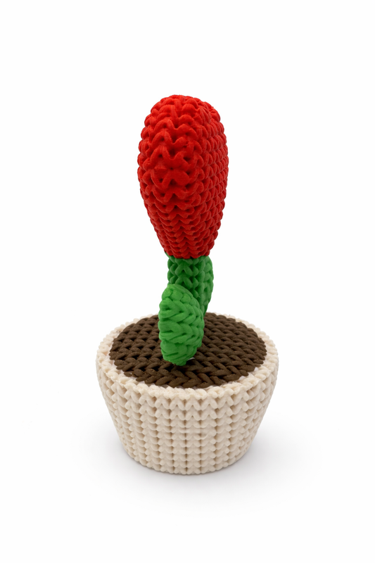 Coeur plante tricoté - Personnalisable